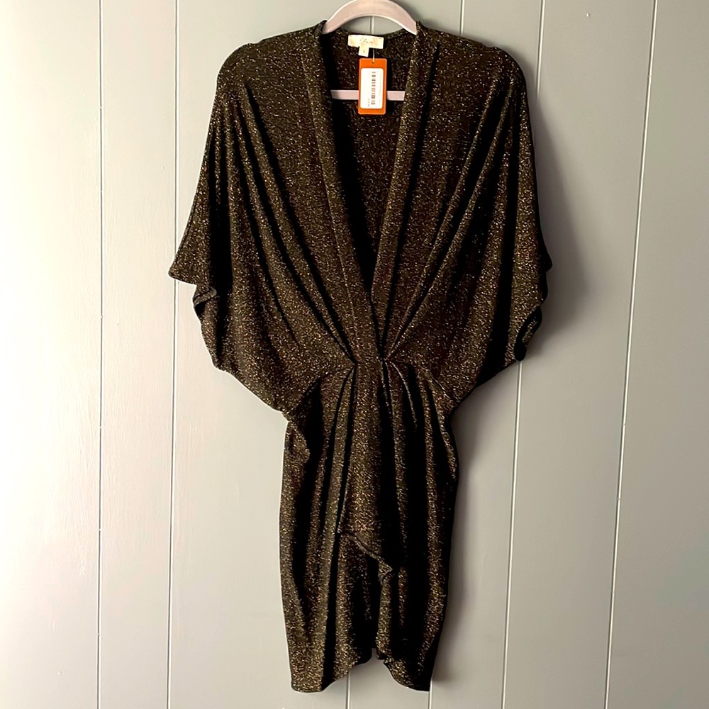 Elan Dolman black and gold dress